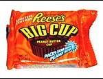 2041reese-bigcup